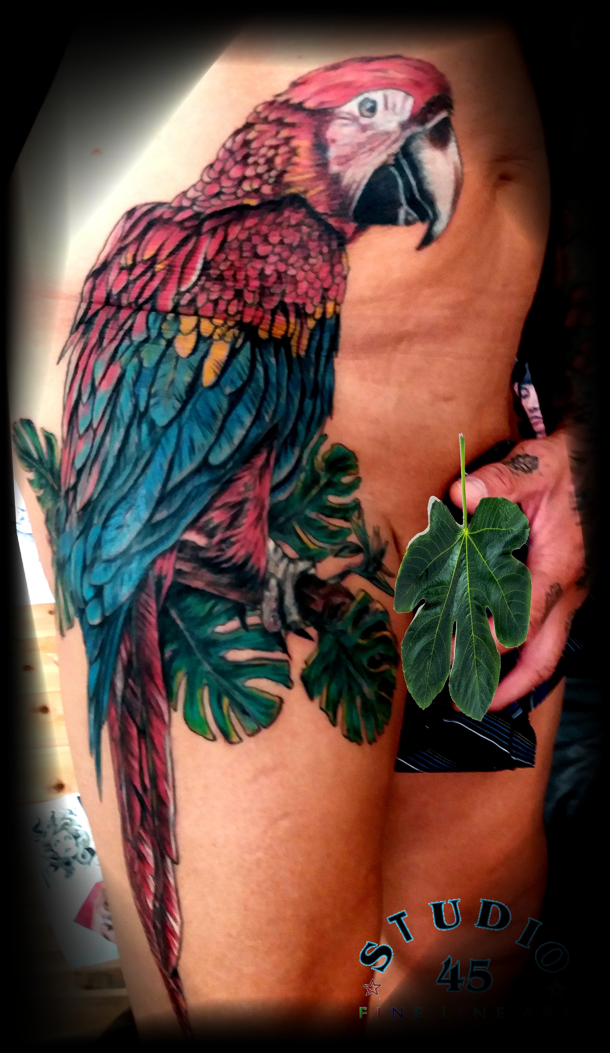 Realistisches Ara Papagei Farb Tattoo in Knalligen Farben Recklinghausen STUDIO 45