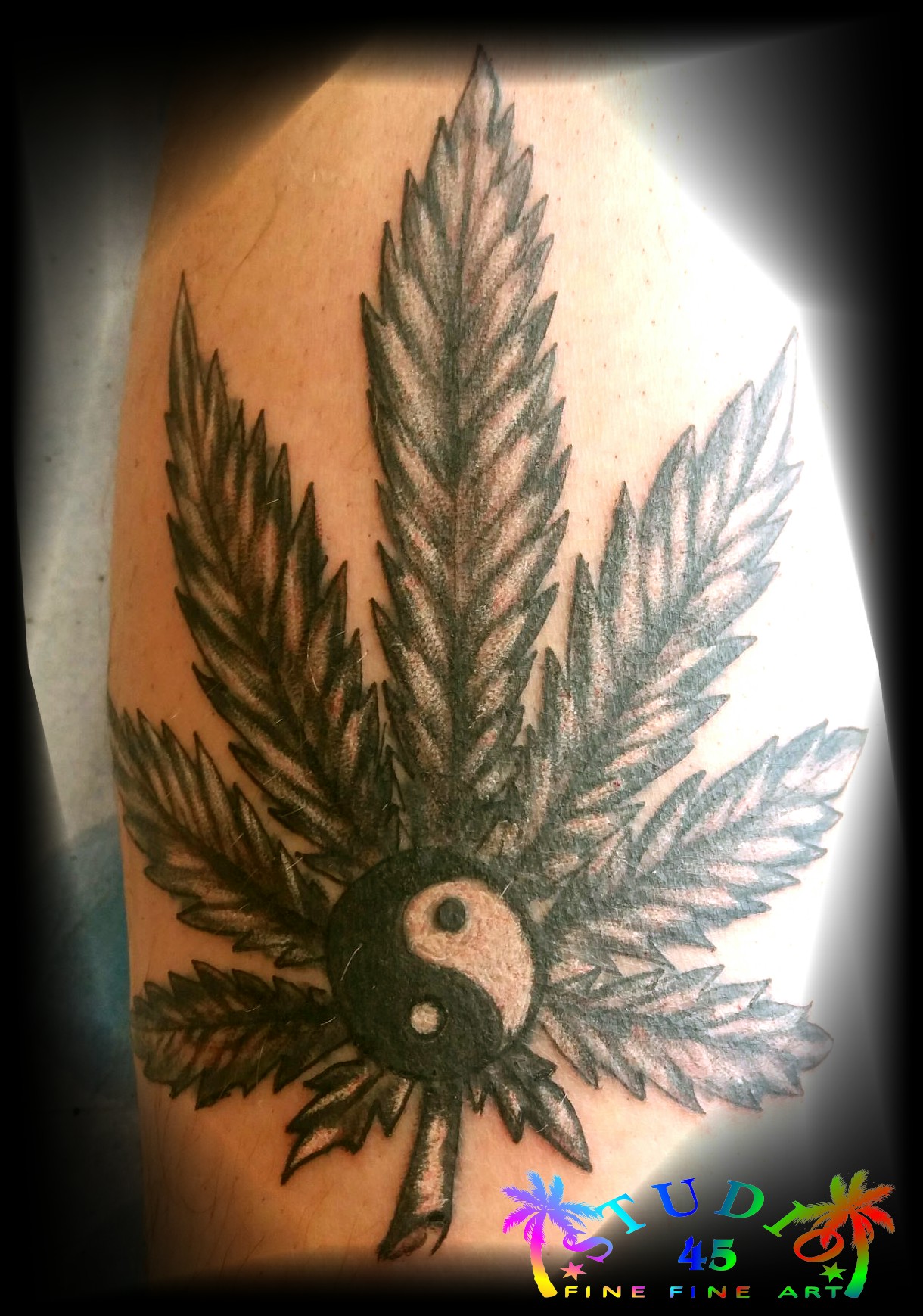 Cannabisblatt vorher - STUDIO 45